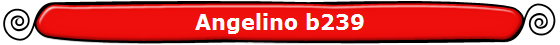 Angelino b239