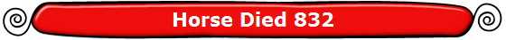 Horse Died 832