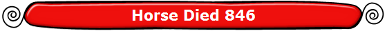Horse Died 846