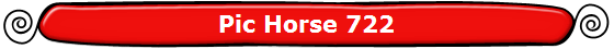 Pic Horse 722