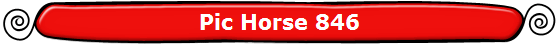 Pic Horse 846