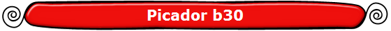Picador b30