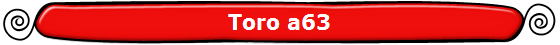 Toro a63