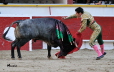 1129