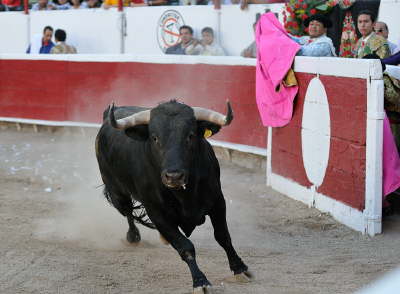 276