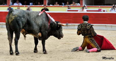 774