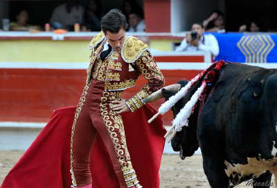 untitled-26