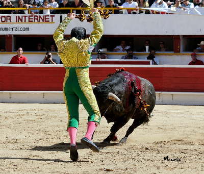 untitled-27